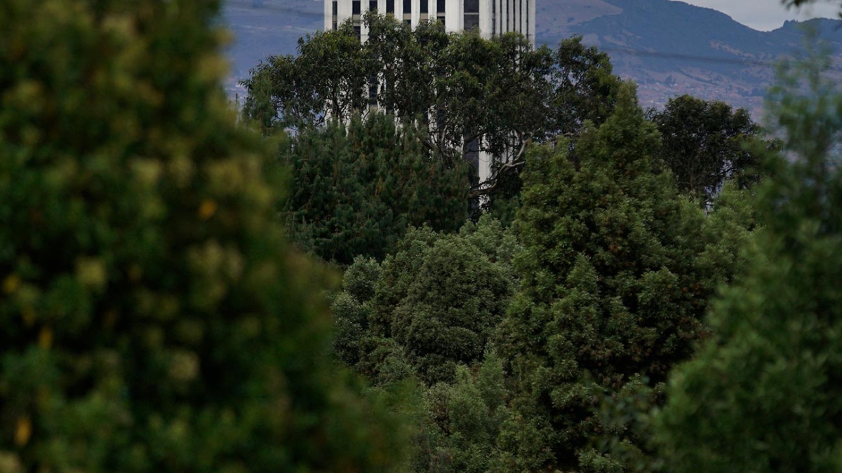 cerros-de-bogota